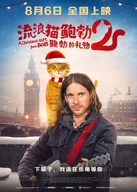午夜视频黄色